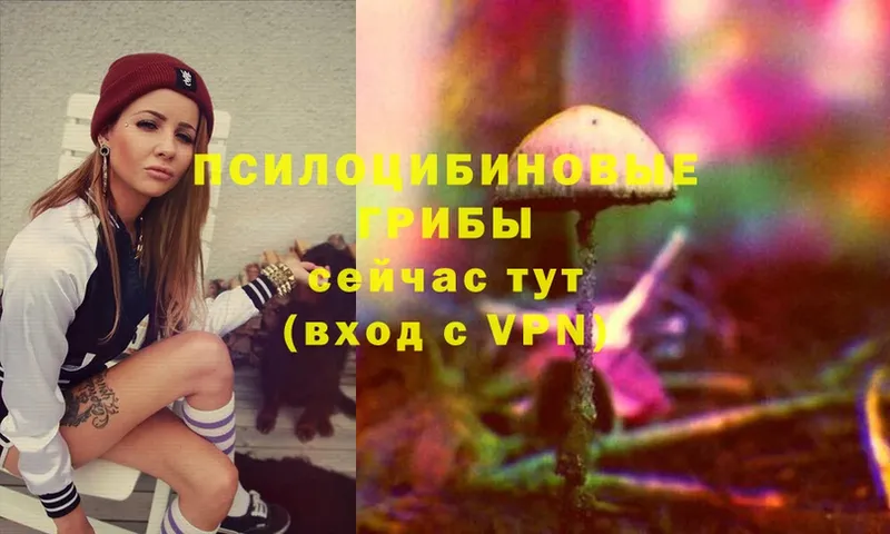 Галлюциногенные грибы Magic Shrooms  Омутнинск 